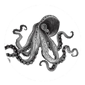 Meet your Posher, Heath